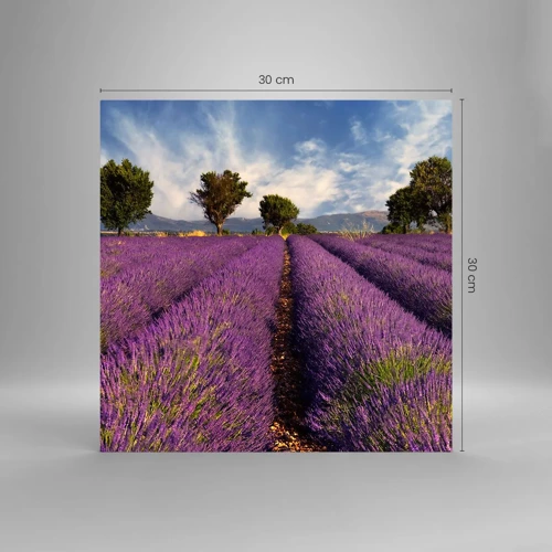 Schilderen op glas - Lavendel velden - 30x30 cm
