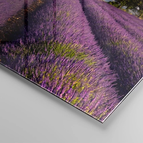 Schilderen op glas - Lavendel velden - 50x50 cm