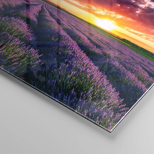 Schilderen op glas - Lavendel wereld - 50x70 cm