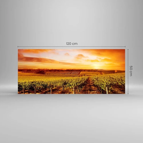 Schilderen op glas - Licht fruitig met een vleugje zonneschijn - 120x50 cm