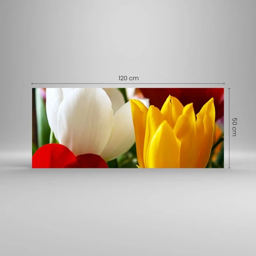 Schilderen op glas - Tulpenkoorts - 120x50 cm
