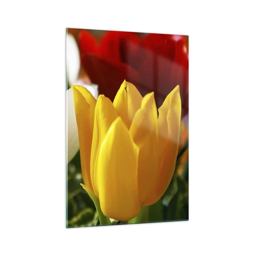 Schilderen op glas - Tulpenkoorts - 70x100 cm