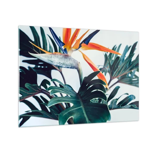 Schilderen op glas - Vogelstruik - 70x50 cm