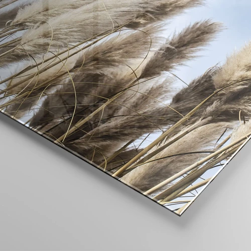 Schilderen op glas - Zonnige en winderige streling - 50x50 cm