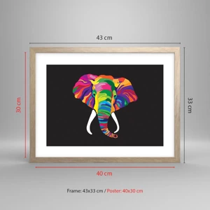 Een poster in een licht eiken lijst - De olifant die ervan hield om in de regenboog te baden - 40x30 cm