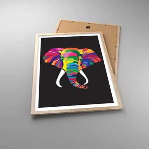 Een poster in een licht eiken lijst - De olifant die ervan hield om in de regenboog te baden - 50x70 cm