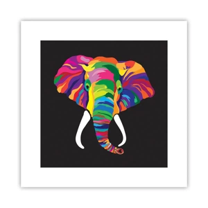 Poster - De olifant die ervan hield om in de regenboog te baden - 30x30 cm