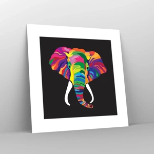 Poster - De olifant die ervan hield om in de regenboog te baden - 30x30 cm