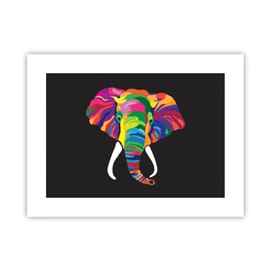 Poster - De olifant die ervan hield om in de regenboog te baden - 40x30 cm