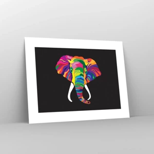 Poster - De olifant die ervan hield om in de regenboog te baden - 40x30 cm