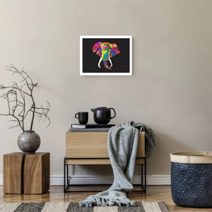 Poster - De olifant die ervan hield om in de regenboog te baden - 40x30 cm