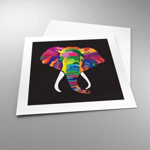 Poster - De olifant die ervan hield om in de regenboog te baden - 40x40 cm