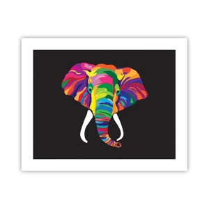 Poster - De olifant die ervan hield om in de regenboog te baden - 50x40 cm