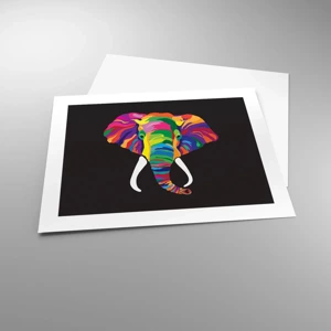 Poster - De olifant die ervan hield om in de regenboog te baden - 50x40 cm