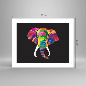 Poster - De olifant die ervan hield om in de regenboog te baden - 50x40 cm