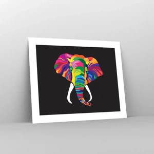 Poster - De olifant die ervan hield om in de regenboog te baden - 50x40 cm