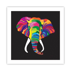 Poster - De olifant die ervan hield om in de regenboog te baden - 50x50 cm