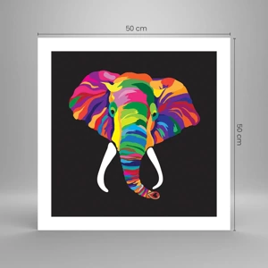 Poster - De olifant die ervan hield om in de regenboog te baden - 50x50 cm