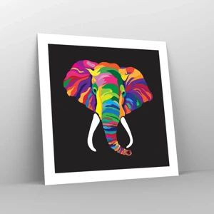 Poster - De olifant die ervan hield om in de regenboog te baden - 50x50 cm