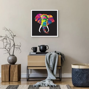 Poster - De olifant die ervan hield om in de regenboog te baden - 50x50 cm