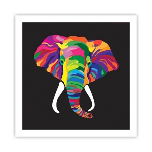 Poster - De olifant die ervan hield om in de regenboog te baden - 60x60 cm