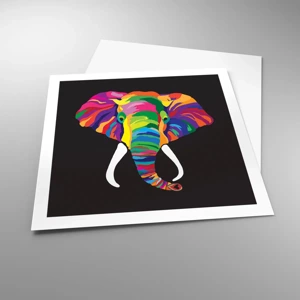 Poster - De olifant die ervan hield om in de regenboog te baden - 60x60 cm