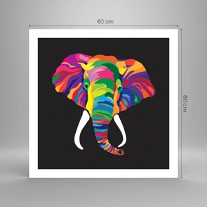 Poster - De olifant die ervan hield om in de regenboog te baden - 60x60 cm