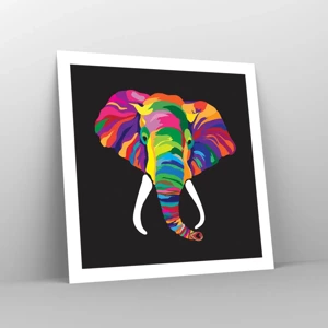 Poster - De olifant die ervan hield om in de regenboog te baden - 60x60 cm