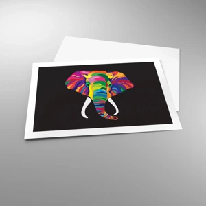 Poster - De olifant die ervan hield om in de regenboog te baden - 70x50 cm