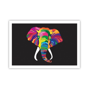 Poster - De olifant die ervan hield om in de regenboog te baden - 91x61 cm