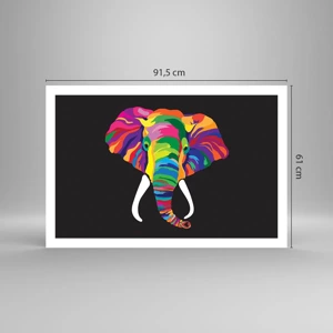 Poster - De olifant die ervan hield om in de regenboog te baden - 91x61 cm