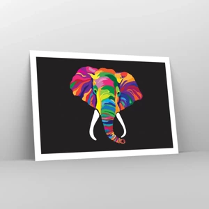 Poster - De olifant die ervan hield om in de regenboog te baden - 91x61 cm