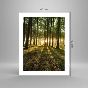 Poster - Foto van de hele lente - 40x50 cm