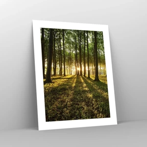 Poster - Foto van de hele lente - 40x50 cm