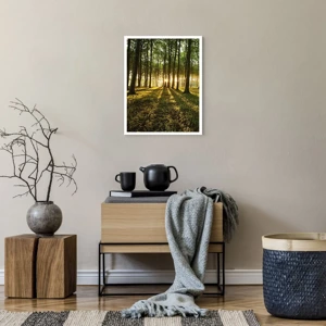 Poster - Foto van de hele lente - 40x50 cm