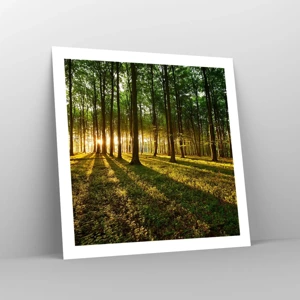 Poster - Foto van de hele lente - 60x60 cm