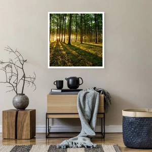 Poster - Foto van de hele lente - 60x60 cm