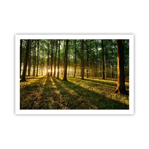 Poster - Foto van de hele lente - 91x61 cm