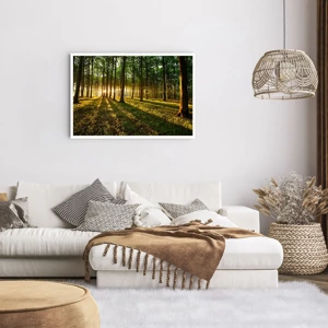 Poster - Foto van de hele lente - 91x61 cm