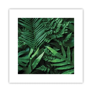 Poster - Ineengedoken in het groen - 30x30 cm