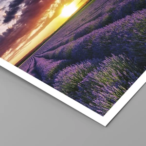 Poster - Lavendel wereld - 60x60 cm