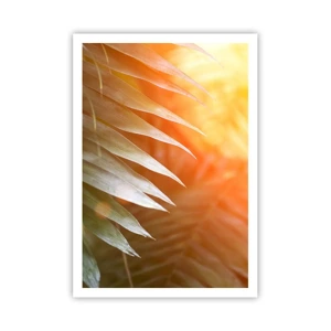 Poster - Ochtend in de jungle - 70x100 cm