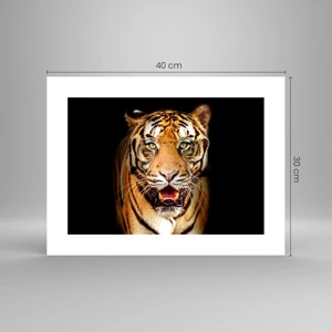 Poster - Wildheid in het hart - 40x30 cm