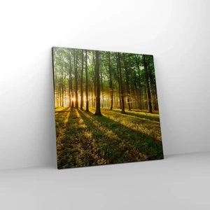 Schilderen op canvas - Foto van de hele lente - 60x60 cm