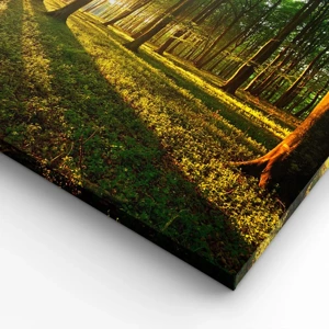 Schilderen op canvas - Foto van de hele lente - 80x120 cm