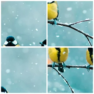 Schilderen op glas - Vogelroddel - 140x50 cm