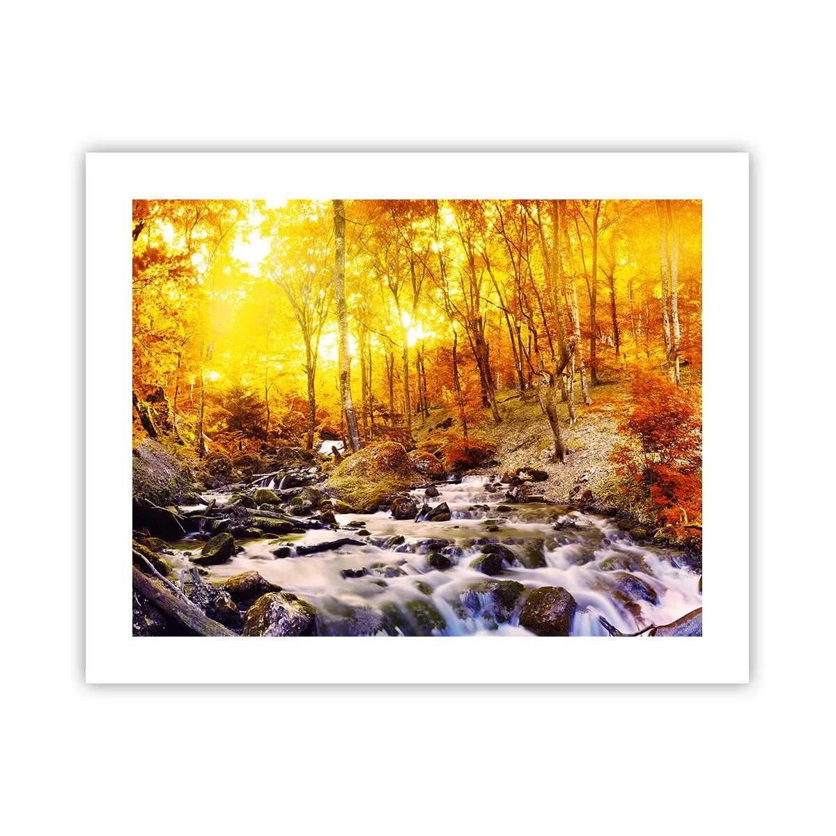 Poster - Stenen gezet in goud en platina - 50x40 cm