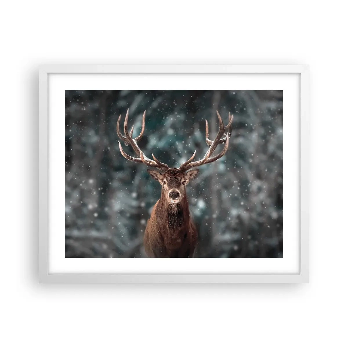 Poster in een witte lijst - Gekroond tot koning van het bos - 50x40 cm