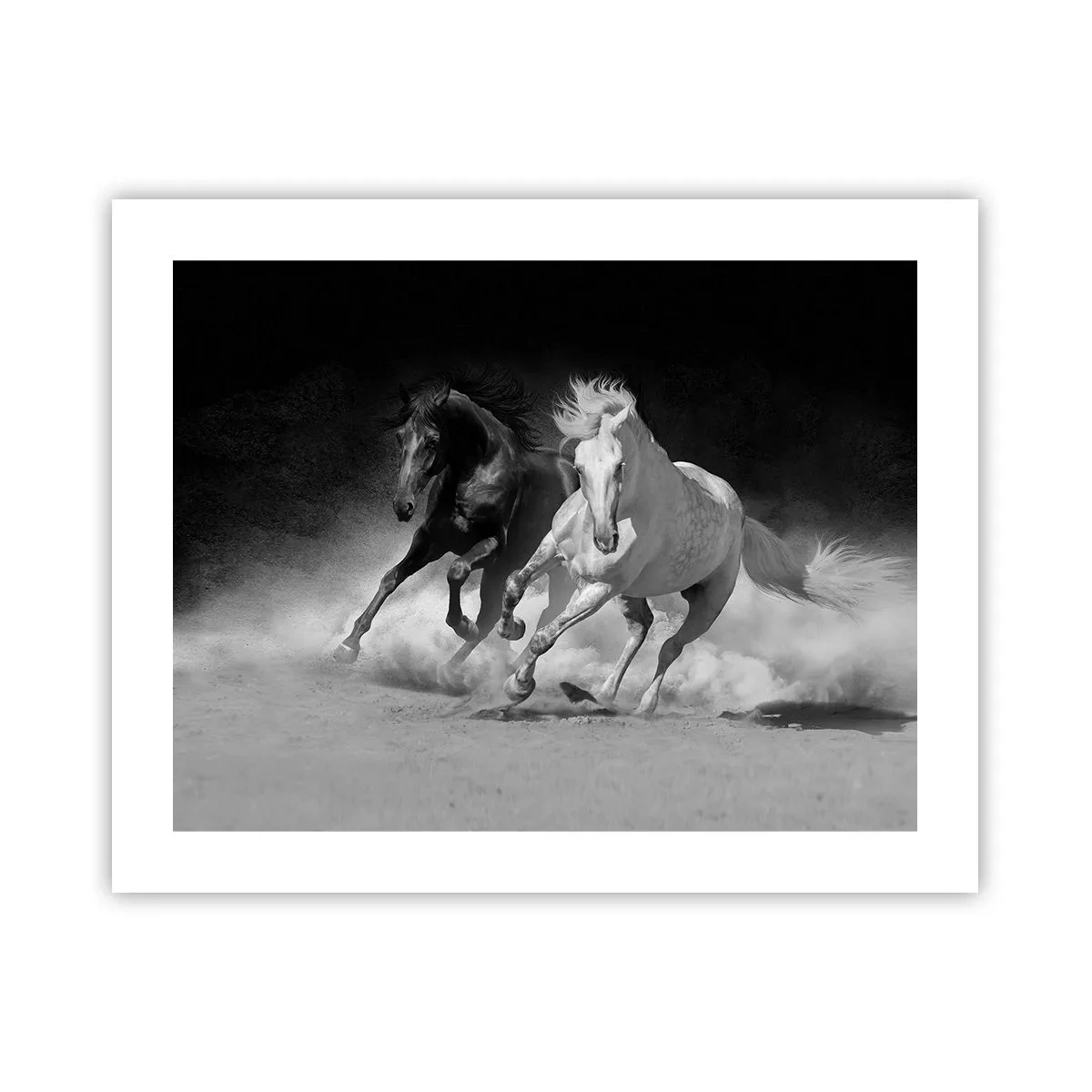 Poster - Vrijheidsgalop - 50x40 cm