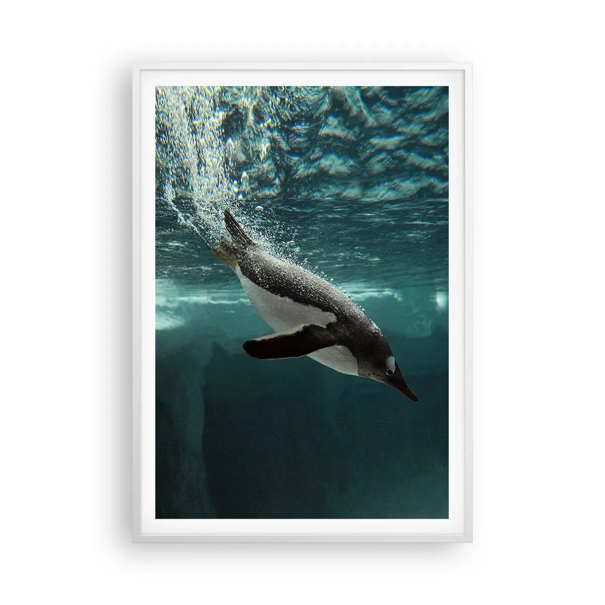 Poster in een witte lijst - Welkom in mijn wereld - 70x100 cm